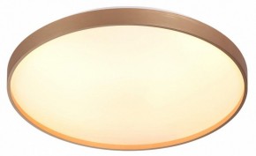 Накладной светильник Sonex Gaby 7783/EL в Можге - mozhga.ok-mebel.com | фото 5