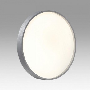 Накладной светильник Sonex Gaby 7784/CL в Можге - mozhga.ok-mebel.com | фото 2