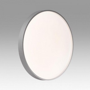 Накладной светильник Sonex Gaby 7784/DL в Можге - mozhga.ok-mebel.com | фото 2