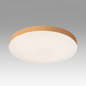 Накладной светильник Sonex Gamma 7761/24L в Можге - mozhga.ok-mebel.com | фото 3