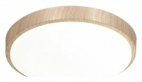 Накладной светильник Sonex Losta 7607/AL в Можге - mozhga.ok-mebel.com | фото 4