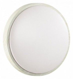 Накладной светильник Sonex Losta 7628/DL в Можге - mozhga.ok-mebel.com | фото 6