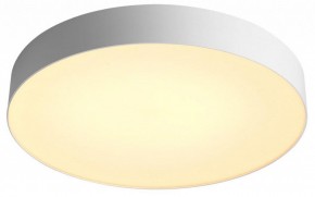 Накладной светильник Sonex Optima 7779/EL в Можге - mozhga.ok-mebel.com | фото 6