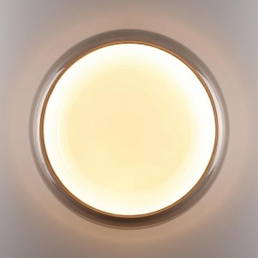 Накладной светильник Sonex PORTMAN 7777/DLN в Можге - mozhga.ok-mebel.com | фото 6
