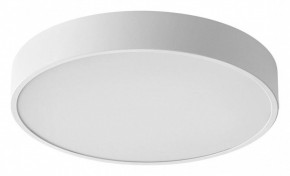 Накладной светильник Sonex Quasar 7755/48L в Можге - mozhga.ok-mebel.com | фото