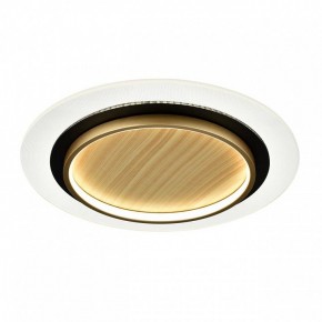 Накладной светильник Sonex Sunny 7731/80L в Можге - mozhga.ok-mebel.com | фото 4