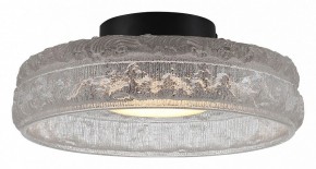 Накладной светильник ST-Luce ANTIKE SL6143.402.01 в Можге - mozhga.ok-mebel.com | фото 2