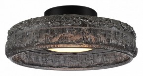 Накладной светильник ST-Luce ANTIKE SL6143.412.01 в Можге - mozhga.ok-mebel.com | фото 2