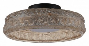 Накладной светильник ST-Luce ANTIKE SL6143.422.01 в Можге - mozhga.ok-mebel.com | фото 2