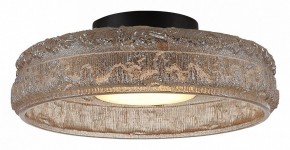 Накладной светильник ST-Luce ANTIKE SL6143.422.01 в Можге - mozhga.ok-mebel.com | фото 3