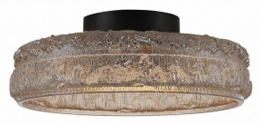 Накладной светильник ST-Luce ANTIKE SL6143.422.01 в Можге - mozhga.ok-mebel.com | фото 4