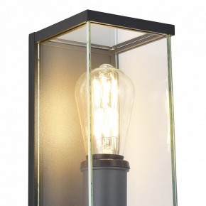 Накладной светильник ST-Luce Gross SL9019.701.01 в Можге - mozhga.ok-mebel.com | фото 4