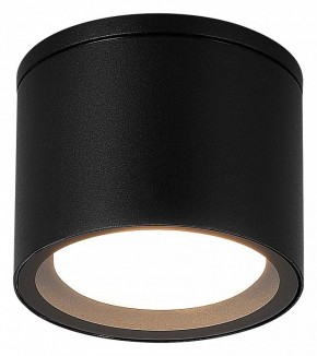 Накладной светильник ST-Luce Tubo SL9006.402.01 в Можге - mozhga.ok-mebel.com | фото 2