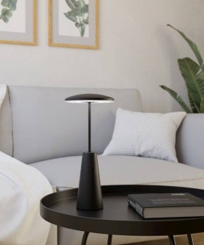 Настольная лампа декоративная Eglo PICCOLA 900925 в Можге - mozhga.ok-mebel.com | фото 4
