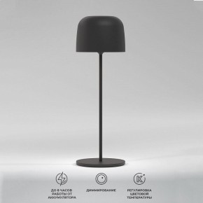Настольная лампа декоративная Elektrostandard Bitty a069002 в Можге - mozhga.ok-mebel.com | фото 2
