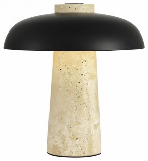 Настольная лампа декоративная ST-Luce Earthy SL1194.424.01 в Можге - mozhga.ok-mebel.com | фото 3