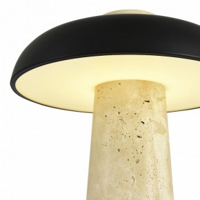 Настольная лампа декоративная ST-Luce Earthy SL1194.424.01 в Можге - mozhga.ok-mebel.com | фото 6