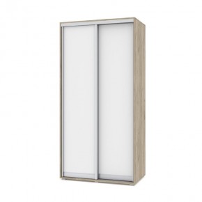ОЛИВИЯ О41 Шкаф-купе (дуб серый/белый) в Можге - mozhga.ok-mebel.com | фото
