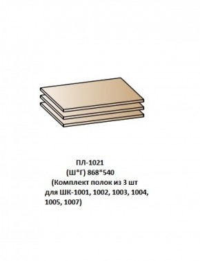 ПЛ-1021 (Комплект полок из 3 шт для ШК-1001, 1002, 1003, 1004, 1005, 1007) в Можге - mozhga.ok-mebel.com | фото