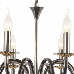 Подвесная люстра Arti Lampadari Pontone Pontone E 1.1.8 PB в Можге - mozhga.ok-mebel.com | фото 3