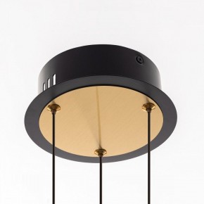 Подвесная люстра Citilux HELLY CL211042 в Можге - mozhga.ok-mebel.com | фото 11