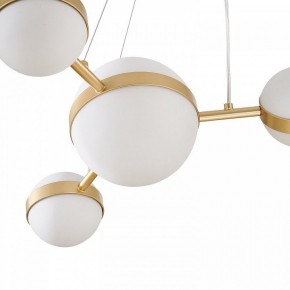 Подвесная люстра Favourite Asterismo 4448-6P в Можге - mozhga.ok-mebel.com | фото 7