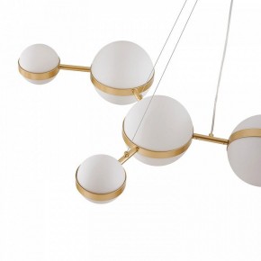 Подвесная люстра Favourite Asterismo 4448-8P в Можге - mozhga.ok-mebel.com | фото 7