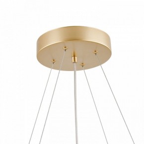 Подвесная люстра Favourite Asterismo 4448-8P в Можге - mozhga.ok-mebel.com | фото 8