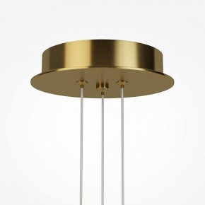 Подвесная люстра Maytoni Arana MOD401PL-L108BS3K в Можге - mozhga.ok-mebel.com | фото 7