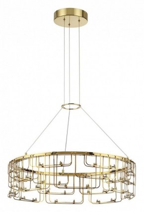 Подвесная люстра Odeon Light ZAHA 7060/44L в Можге - mozhga.ok-mebel.com | фото 2