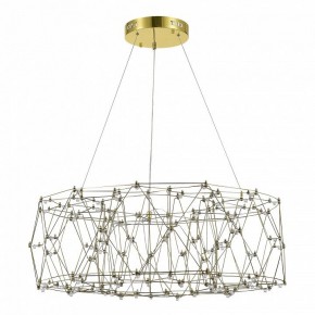 Подвесная люстра ST-Luce Gravetta SL6602.203.48 в Можге - mozhga.ok-mebel.com | фото 2