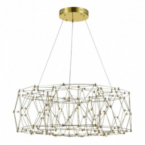 Подвесная люстра ST-Luce Gravetta SL6602.203.48 в Можге - mozhga.ok-mebel.com | фото 3
