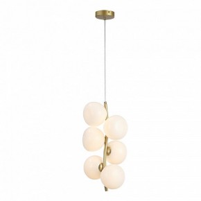 Подвесная люстра ST-Luce Sweven SL1519.303.06 в Можге - mozhga.ok-mebel.com | фото 4