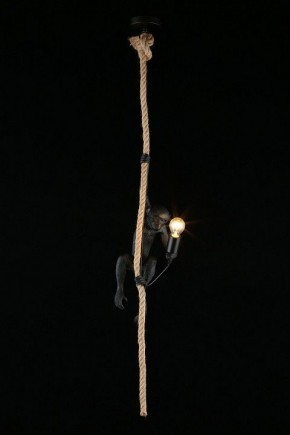 Подвесной светильник Aployt Magali APL.309.16.01 в Можге - mozhga.ok-mebel.com | фото 3