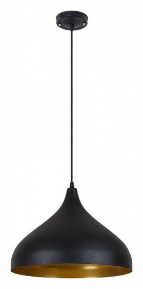 Подвесной светильник Arte Lamp Carmel A7076SP-1BK в Можге - mozhga.ok-mebel.com | фото 2