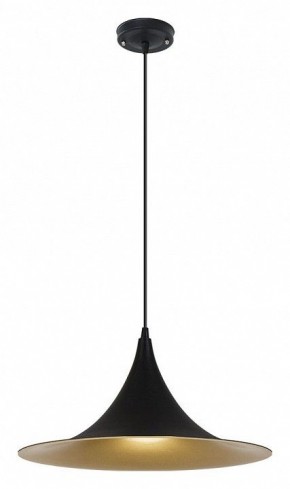 Подвесной светильник Arte Lamp Carmel A7080SP-1BK в Можге - mozhga.ok-mebel.com | фото 2
