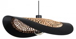 Подвесной светильник Arte Lamp Woodstock A7059SP-1BK в Можге - mozhga.ok-mebel.com | фото