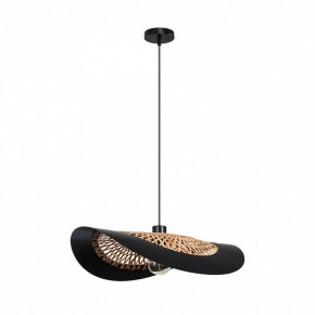 Подвесной светильник Arte Lamp Woodstock A7059SP-1BK в Можге - mozhga.ok-mebel.com | фото 2