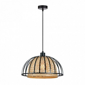 Подвесной светильник Arte Lamp Woodstock A7071SP-1BK в Можге - mozhga.ok-mebel.com | фото