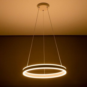 Подвесной светильник Citilux Дуэт CL719500 в Можге - mozhga.ok-mebel.com | фото 11
