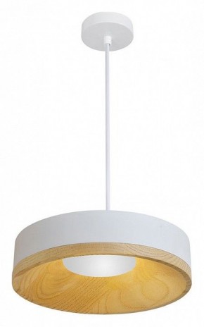 Подвесной светильник Divinare Vaso 5119/33 SP-8 в Можге - mozhga.ok-mebel.com | фото 2