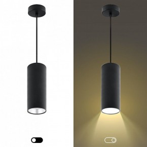 Подвесной светильник Эра  PL12 GX53 BK/SL в Можге - mozhga.ok-mebel.com | фото 5