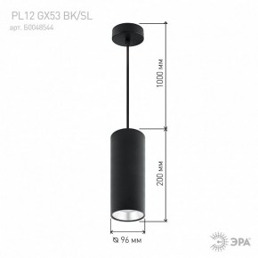 Подвесной светильник Эра  PL12 GX53 BK/SL в Можге - mozhga.ok-mebel.com | фото 8