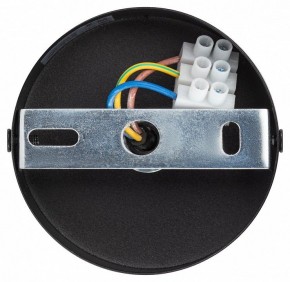 Подвесной светильник Эра  PL12 GX53 BK/SL в Можге - mozhga.ok-mebel.com | фото 9