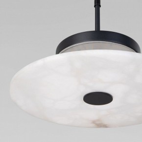 Подвесной светильник Eurosvet Thasos 40342 LED черный в Можге - mozhga.ok-mebel.com | фото 8