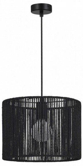 Подвесной светильник EVOLUCE ETTAN SLE6024-403-01 в Можге - mozhga.ok-mebel.com | фото 4