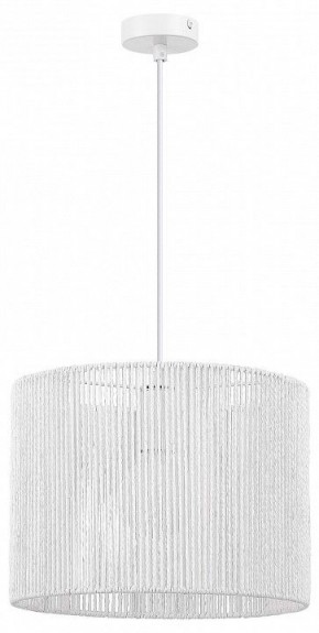 Подвесной светильник EVOLUCE ETTAN SLE6024-503-01 в Можге - mozhga.ok-mebel.com | фото 4