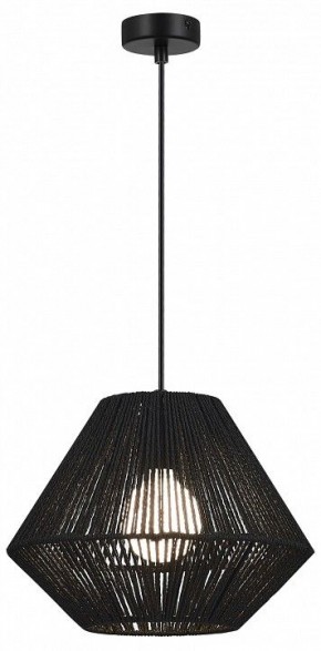 Подвесной светильник EVOLUCE ETTAN SLE6025-403-01 в Можге - mozhga.ok-mebel.com | фото 2