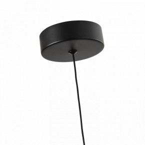 Подвесной светильник Favourite Cattivo 4452-1P в Можге - mozhga.ok-mebel.com | фото 7