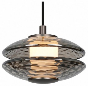 Подвесной светильник Favourite Claros 4642-1P в Можге - mozhga.ok-mebel.com | фото